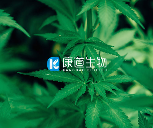 青峰创元集团案例平台
